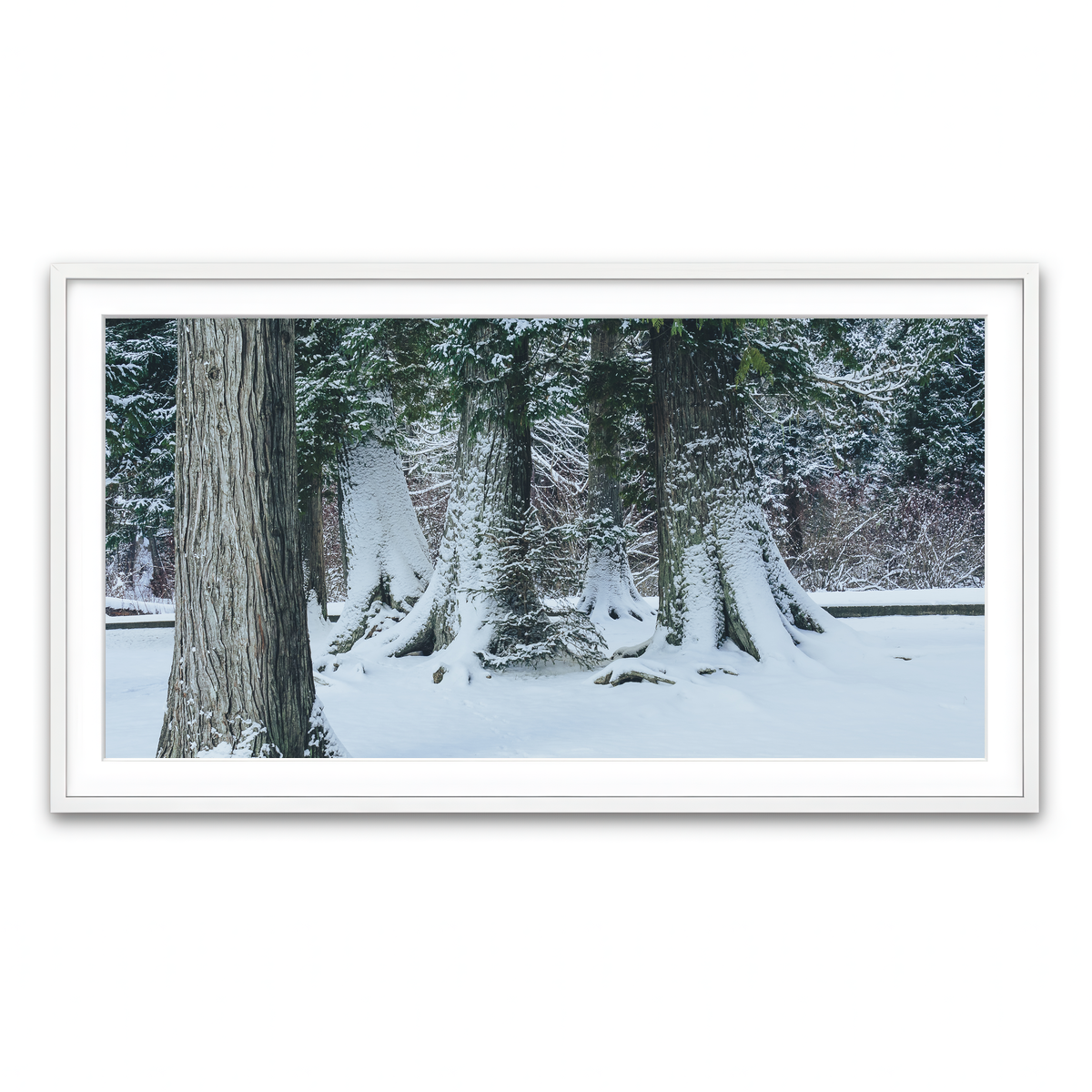 Framed Print 2x1 White