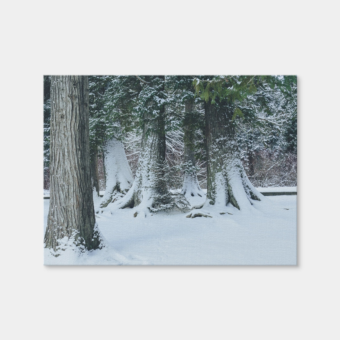 AUTO-MOCKUP WHITE | Winter in Northern BC | 1 Piece | Gallery Wrap | group=4x3