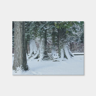 AUTO-MOCKUP WHITE | Winter in Northern BC | 1 Piece | Gallery Wrap | group=4x3