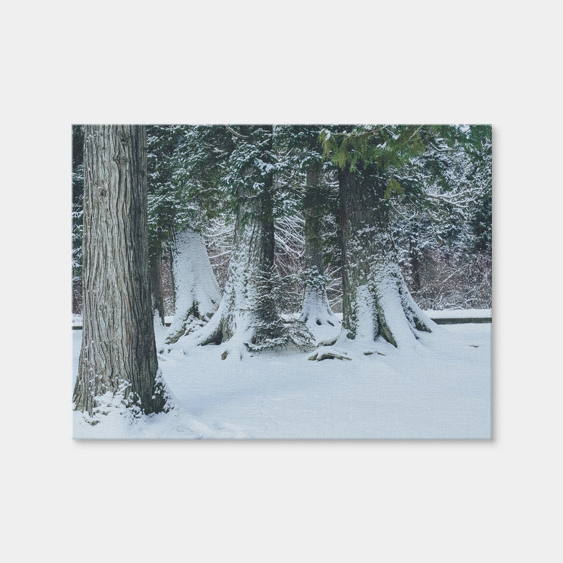 AUTO-MOCKUP WHITE | Winter in Northern BC | 1 Piece | Gallery Wrap | group=4x3