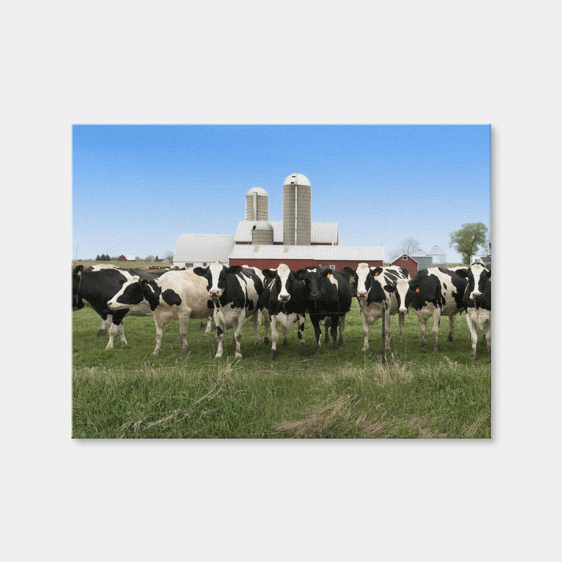 AUTO-MOCKUP WHITE | Wisconsin Dairy Cows | 1 Piece | Gallery Wrap Canvas | group=4x3