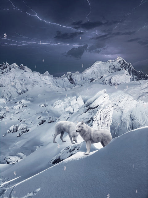 Wolf IceLand Wall Art