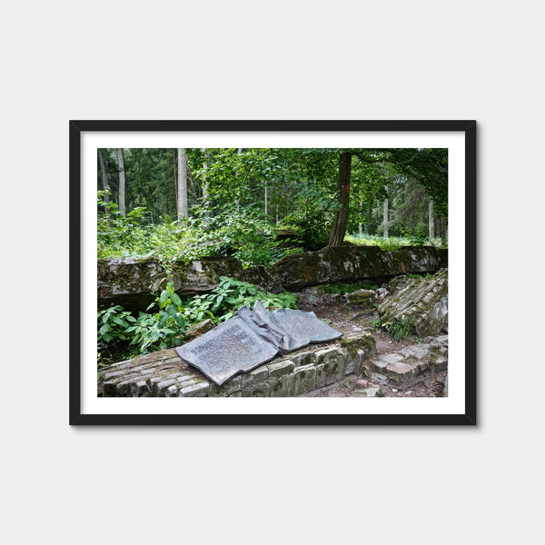 Wolf's Lair - Stauffenberg Bomb Site Wall Art — Framed Print Format preview