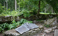 Wolf's Lair - Stauffenberg Bomb site Wall Art