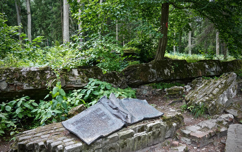 Wolf's Lair - Stauffenberg Bomb site Wall Art