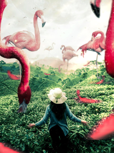 Woman with Flamingos Wall Art