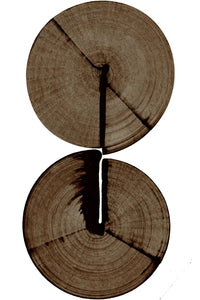 Wood Cracks Wall Art