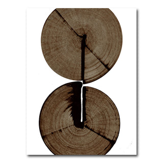 Wood Cracks Wall Art