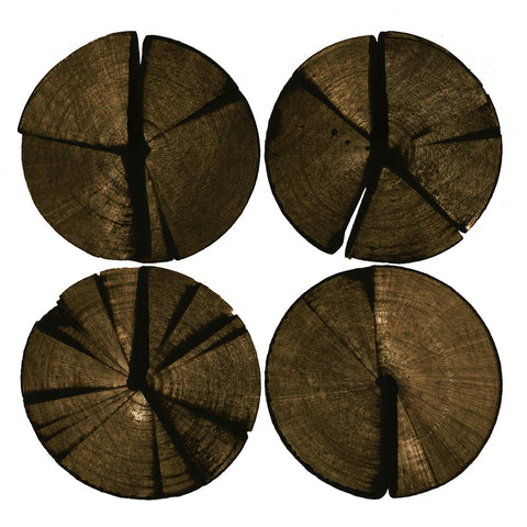 Wooden Rounds Wall Art