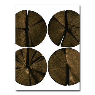 Wooden Rounds Wall Art