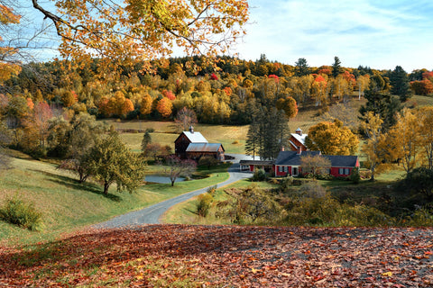 Woodstock Farmstead Wall Art