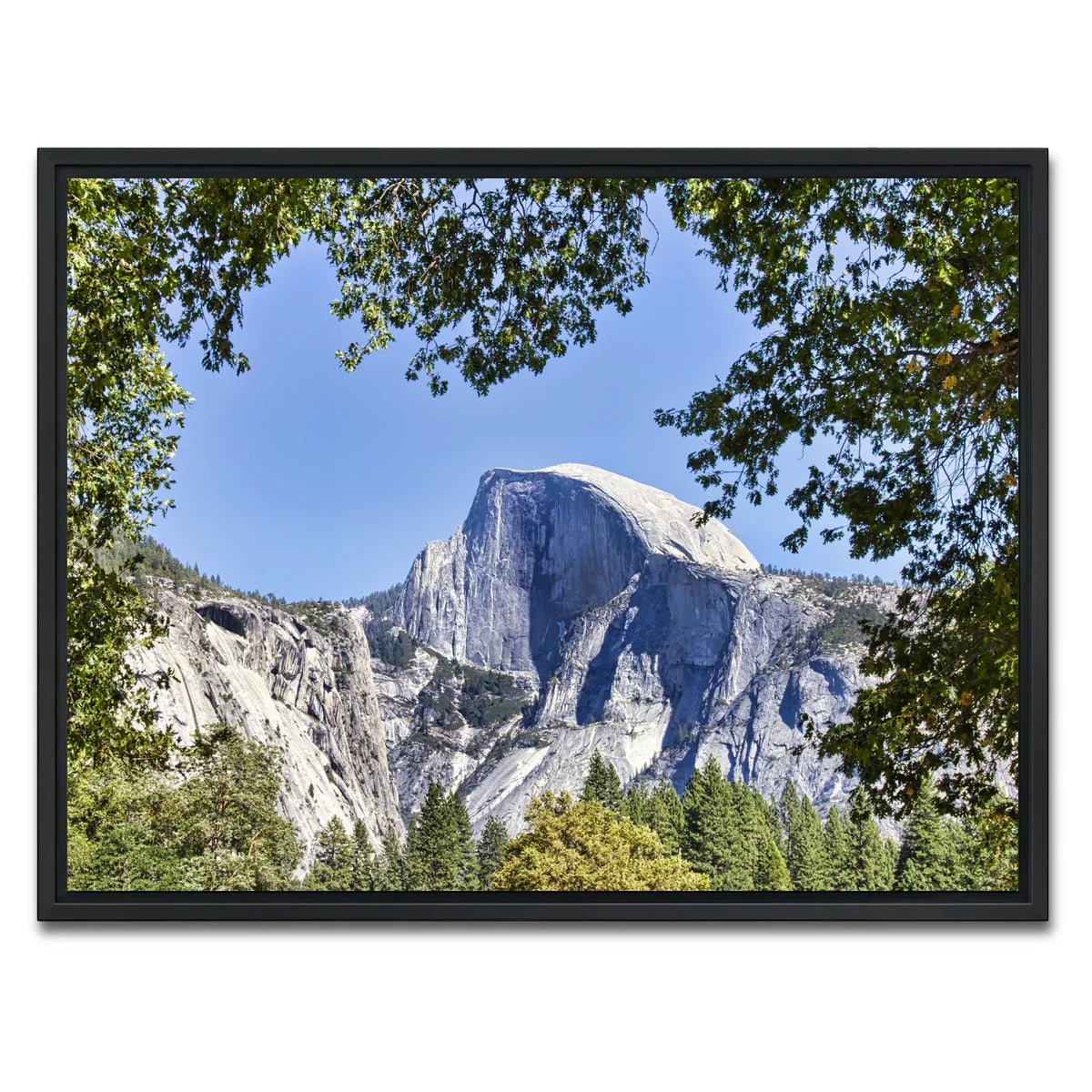 YOSEMITE VALLEY Half Dome Wall Art