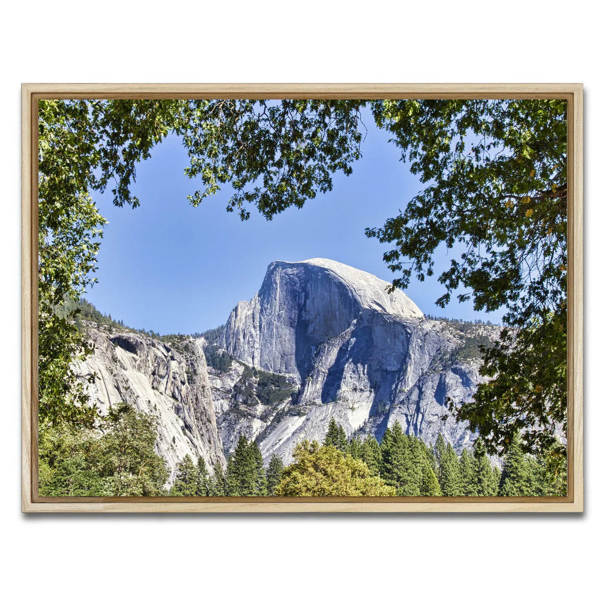 YOSEMITE VALLEY Half Dome Wall Art