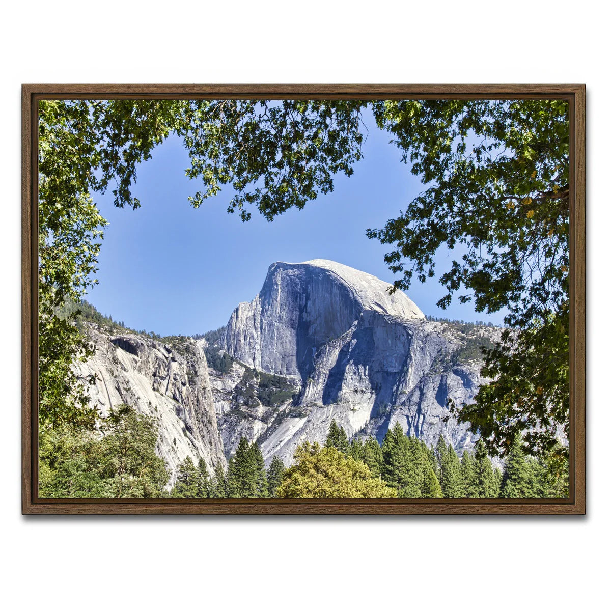 YOSEMITE VALLEY Half Dome Wall Art