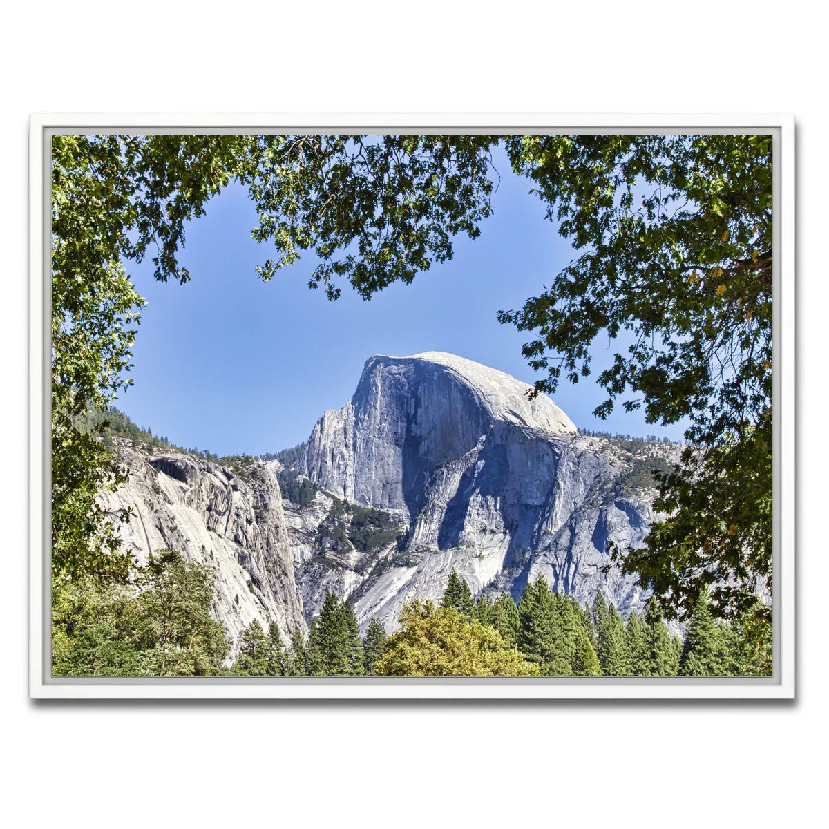 YOSEMITE VALLEY Half Dome Wall Art