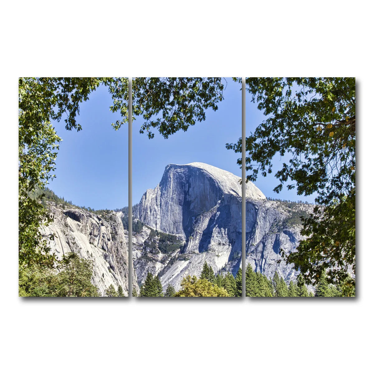 YOSEMITE VALLEY Half Dome Wall Art