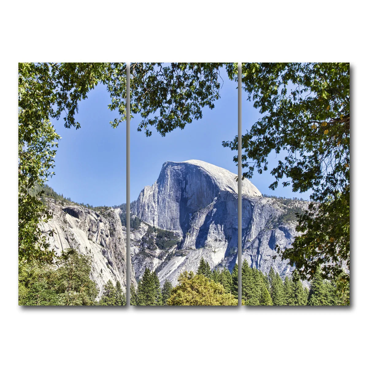 YOSEMITE VALLEY Half Dome Wall Art