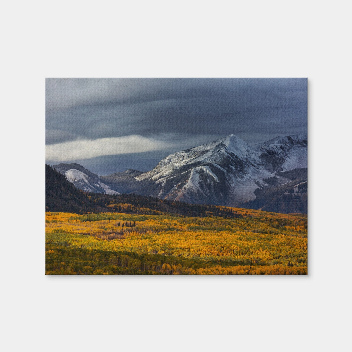 AUTO-MOCKUP WHITE | Yellow Autumn | 1 Piece | Gallery Wrap | group=4x3