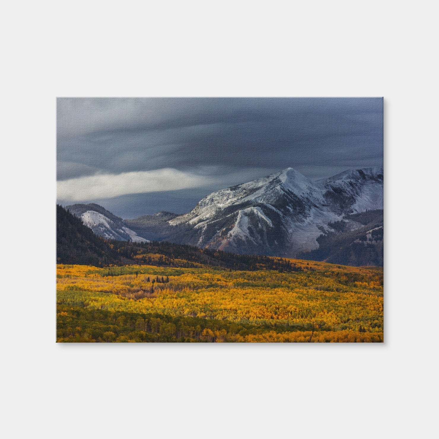 AUTO-MOCKUP WHITE | Yellow Autumn | 1 Piece | Gallery Wrap | group=4x3