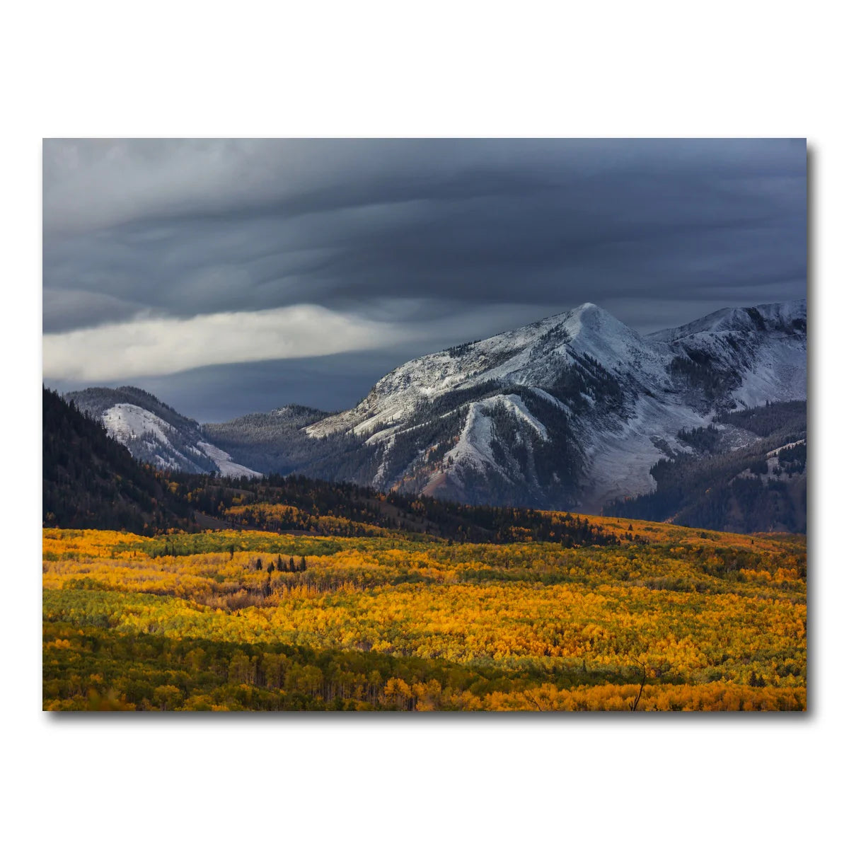 Yellow Autumn Wall Art