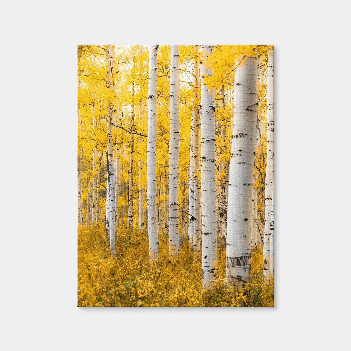 AUTO-MOCKUP WHITE | Yellow Forest | 1 Piece | Gallery Wrap | group=3x4