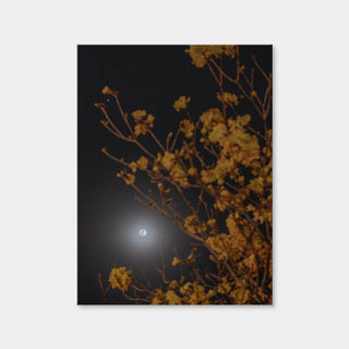 AUTO-MOCKUP WHITE | Yellow Ipe and Selene | 1 Piece | Gallery Wrap | group=3x4