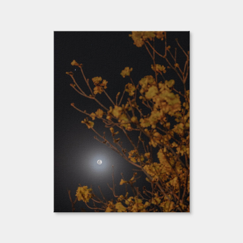 AUTO-MOCKUP WHITE | Yellow Ipe and Selene | 1 Piece | Gallery Wrap | group=3x4