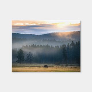 AUTO-MOCKUP WHITE | Yellowstone at Dawn | 1 Piece | Gallery Wrap | group=4x3