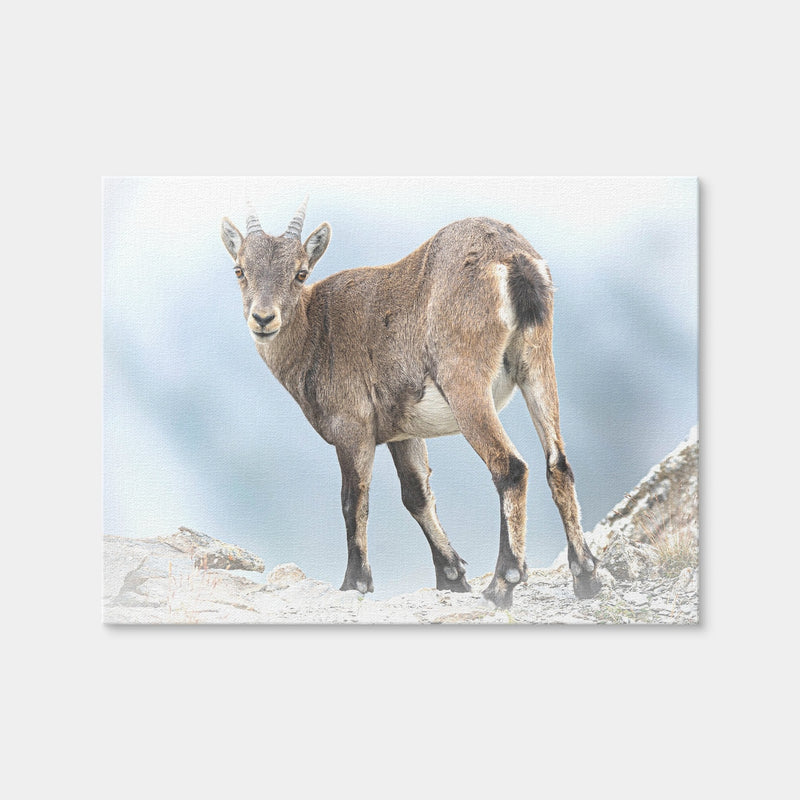 AUTO-MOCKUP WHITE | Yeux Dans les Yeux | 1 Piece | Gallery Wrap Canvas | group=4x3