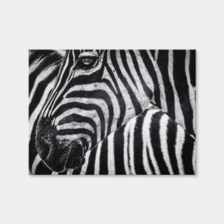AUTO-MOCKUP WHITE | Zebra | 1 Piece | Gallery Wrap Canvas | group=4x3