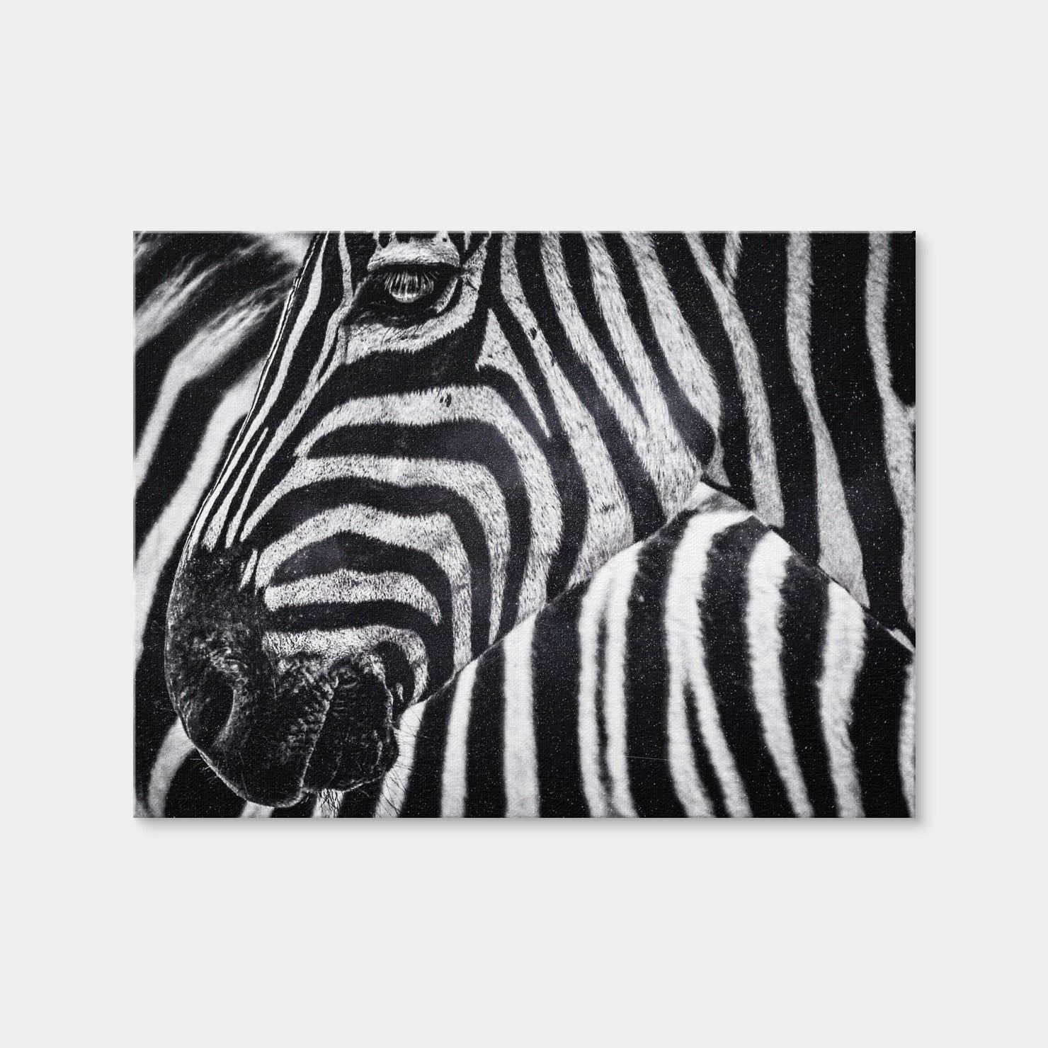 AUTO-MOCKUP WHITE | Zebra | 1 Piece | Gallery Wrap Canvas | group=4x3