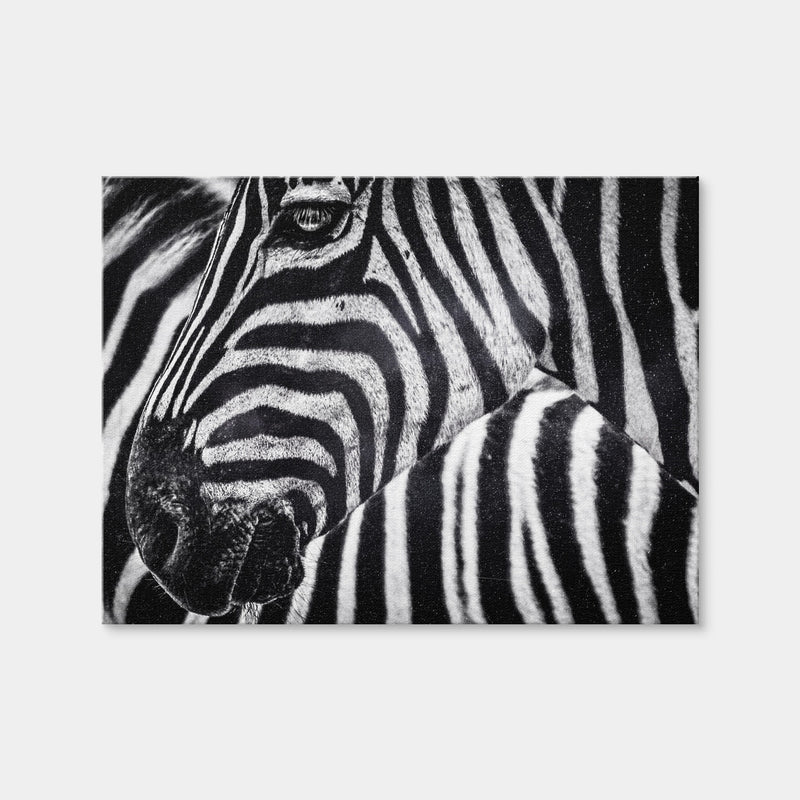 AUTO-MOCKUP WHITE | Zebra | 1 Piece | Gallery Wrap Canvas | group=4x3
