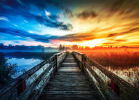 boardwalk colors Wall Art