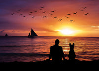 friendship sunset Wall Art