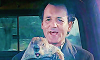 groundhog day Wall Art