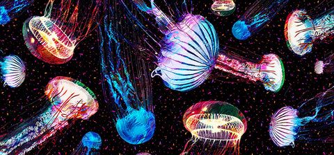 jellybox Wall Art