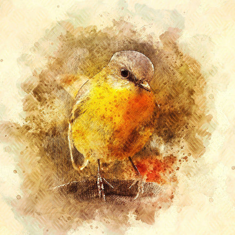 little bird Wall Art