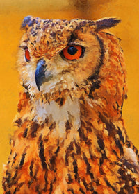 owl painting Wall Art