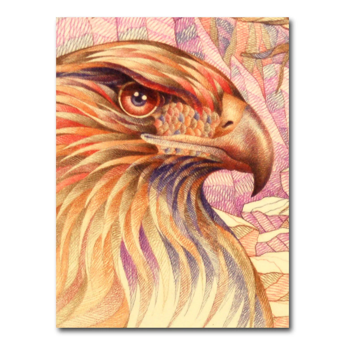 Raptor's On The Lookout Wall Art