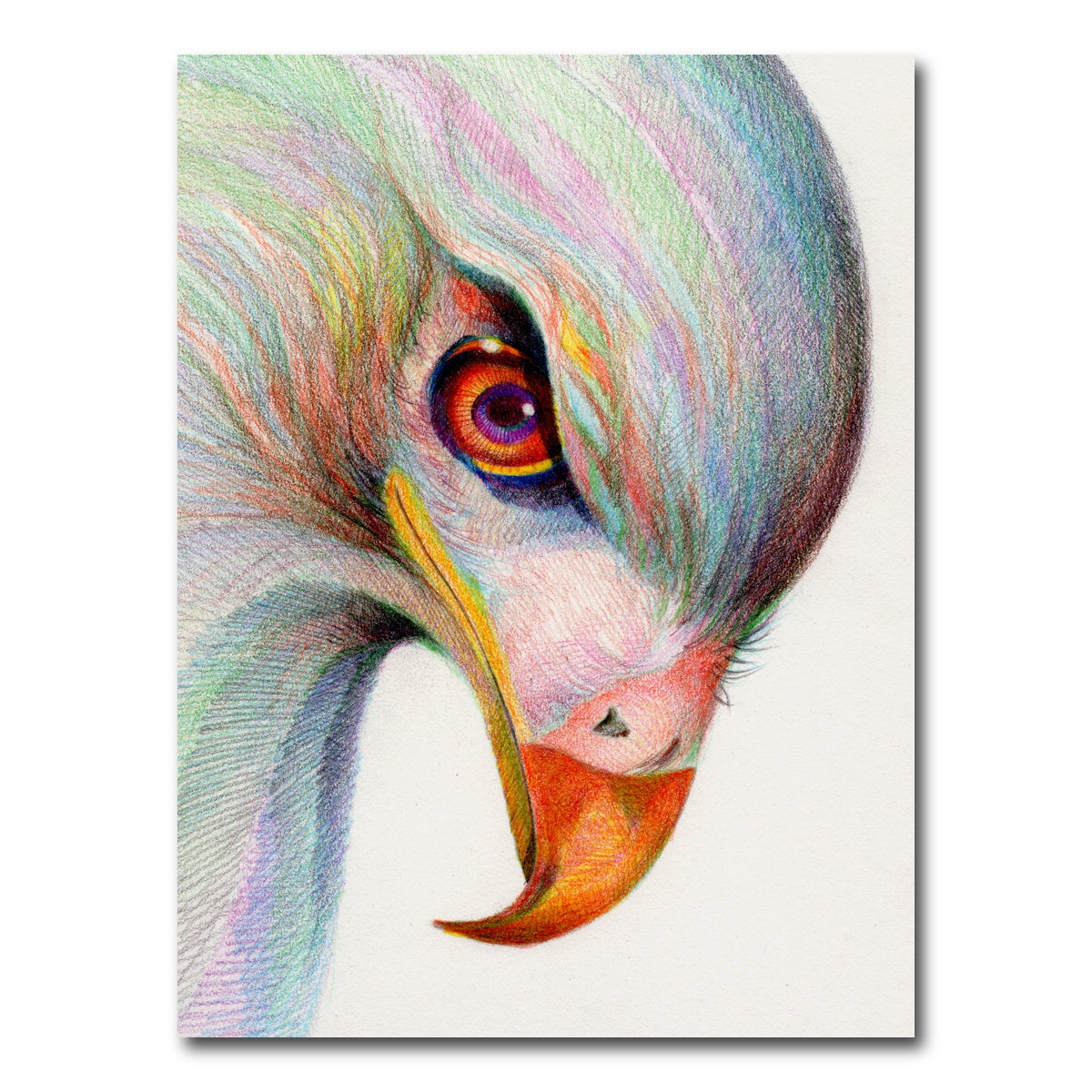 Raptor's Watchful Eye Wall Art