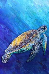 sea turtle Wall Art