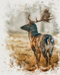 silent observer Wall Art