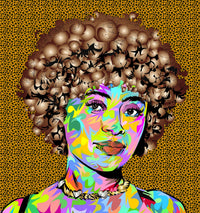 spice icee Wall Art