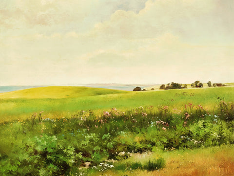 summer lands Wall Art