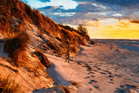sunset on the dunes Wall Art