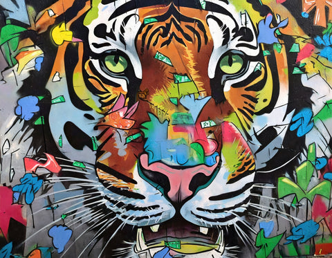 tiger graffiti Wall Art