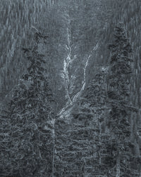 waterfalls Wall Art