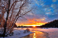 winter twilight Wall Art