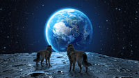 wolves on the moon Wall Art