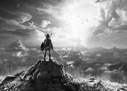 zelda grayscale Wall Art